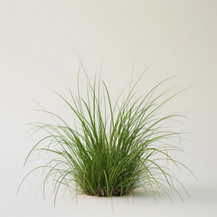 Vibrant Tuft of Wild Grass Flourishing Against Pristine Backdrop, Untamed and Sharp Focus.