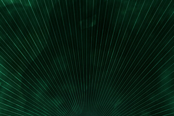 concentration-line-gr