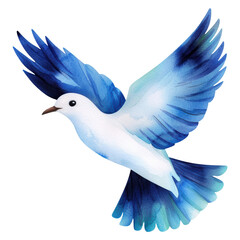 Obraz premium A blue and white bird with a white head flying in the air