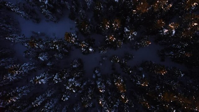 Top down aerial shot of a forest and treetops covered in snow during sunset