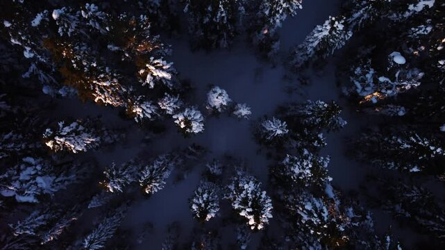 Top down aerial shot slowly ascending above a forest covered in snow. Light hitting the white treetops during a beautiful winter sunset