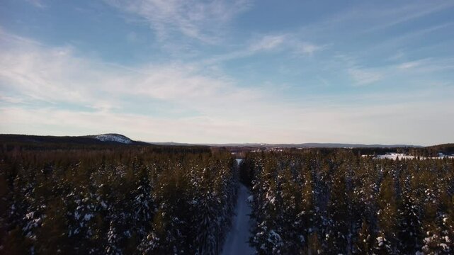 Aerial shot flying above a snow-covered road surrounded by trees covered in snow, slowly ascending above the treetops and revealing a beautiful winter landscape, with mountains in the far distance
