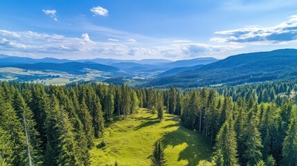 Aerial view of a lush green forest with a clearing in the center. The forest stretches out into the distance, with mountains visible on the horizon. The sky is blue with white clouds.