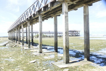 wooden bridge in the sea