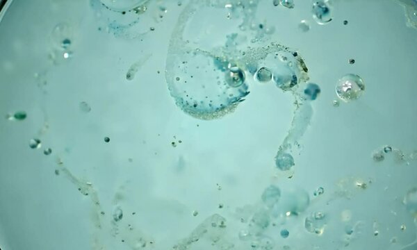 Zoom shot with micro-particle tracking in a biofluid: The camera starts with a view of micro-particles in a biofluid. The camera zooms in to track individual particle movement and interactions, reveal