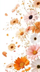 Colorful gerberas and other beautiful flowers flying in air on color background,Collection pink gerberas,Gerber Gerbera Daisy daisies flower floral,Mockup template artwork graphic design.