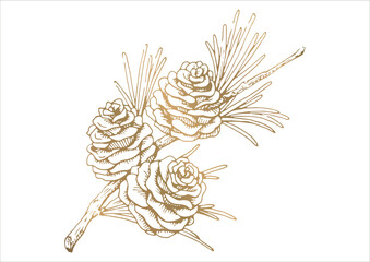 松ぼっくりと枝葉の線画イラスト　秋から冬の植物　金色のベクター素材