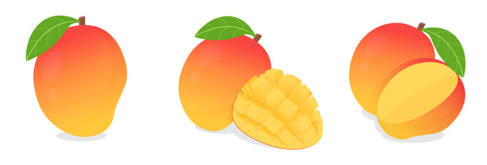 set collection of whole and half sliced dice cut fresh mango fruit with leaf vector illustration, healthy sweet fruits