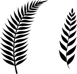 Fern glyph icon. Simple solid Style, Three leaves of fern. Black isolated prints of fern leaves on the white background, Three leaf fern silhouettes © Chathurika
