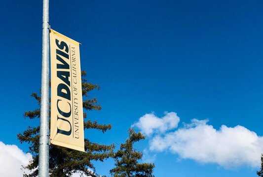 UC Davis California University banner on a pole on the campus.