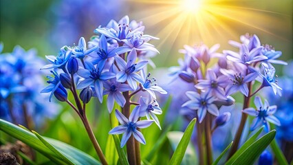 Delicate Blue Flowers Bathed in Golden Sunlight, A Symphony of Color and Texture in Nature's Embrace