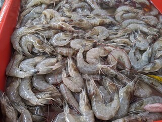 sea ​​fish sold in traditional markets