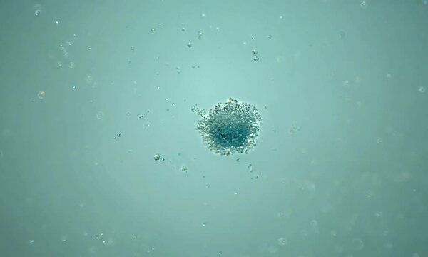 Zoom shot with micro-particle aggregation in a colloid: The camera starts with a view of micro-particles in a colloidal suspension. The camera zooms in to show the aggregation process, including parti