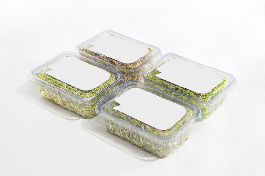 Charolas de pl&aacute;stico que contienen vegetales naturales, germinados de semillas. 