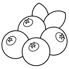 Line art of various blueberries for a coloring page. Vector illustration 
