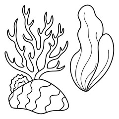 Seaweed stone corals line art for the coloring page. Vector illustration