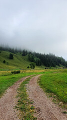 Fototapeta premium A winding dirt road leads through a lush green meadow towards a forested hillside shrouded in mist during summer in Bucovina region of Romania.