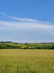 Obraz premium Lush green meadow with agriculture fields on the hills in the background during summer in Romania