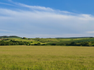 Obraz premium Lush green meadow with agriculture fields on the hills in the background during summer in Romania