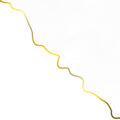 White background with golden line. Abstract topographic map. Vector illustration.