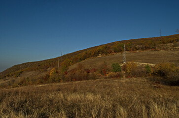 Fototapeta premium Amazing autumn view of glade, hill, forest with deciduous trees near to pretty village Zhrebichko, Bratsigovo municipality, Rhodope mountains, Bulgaria