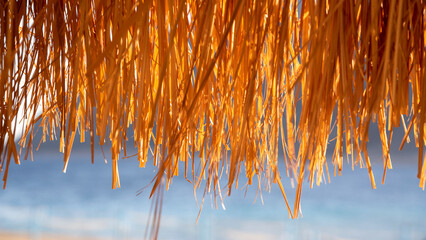 Thatching straw roof, from dry grass isolated on white background, of the bar on the beach during the holiday season.with clipping path