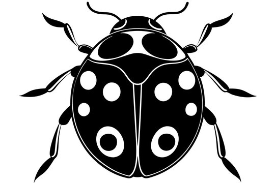 recommend clip art: Simple ladybug isolated black icon silhouette