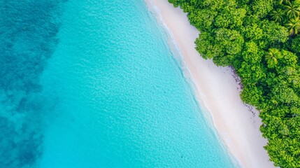 Aerial View of Beach Surrounded by Coral Reefs