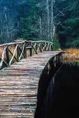 Fototapeta premium Footbridge with a bench in the forest in autumn