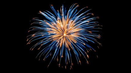 Obraz premium Vivid Firework Burst in Night Sky