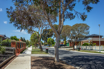 A quiet suburban neighborhood street is lined with Australian homes, footpaths, and eucalyptus trees. Concept of housing in Australia, real estate, livable environment and local community