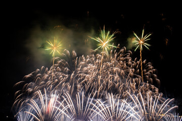 Fireworks in the night sky
