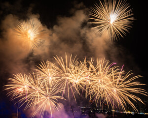 Fireworks in the night sky
