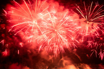Fireworks in the night sky
