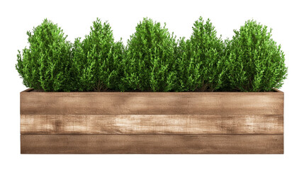 A wooden planter filled with lush green plants, creating a vibrant and natural aesthetic against a dark background.