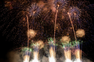 Fireworks in the night sky
