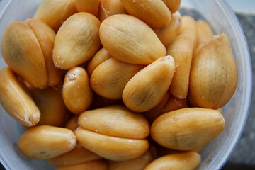 Close-up view of ripe Zalacca seed in container