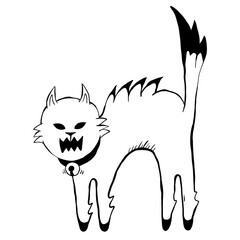 illustration of cat hand draw.