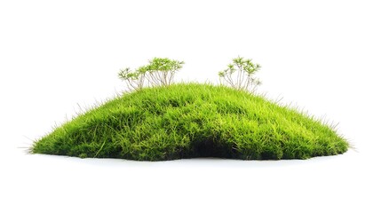 Fototapeta premium Green Grass Island