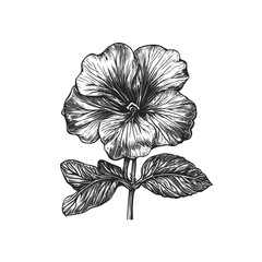 Elegant Hand-Drawn Flower Illustration for Design Use