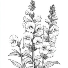 Detailed Black and White Line Drawing of Flowers