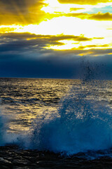 Fototapeta premium Oceanic Symphony. The ocean's power is on full display in this stunning image. The crashing wave, the aquamarine water, and the spray combine to create a symphony of nature's beauty.