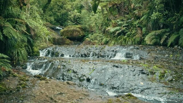 Beautiful stream flowing through a New Zealand rainforest interior 