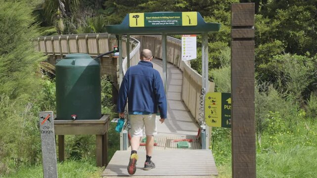 Entrance to hiking trails, cascades Kauri walk in New Zealand rainforest
