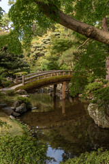 Fototapeta premium bridge over the river