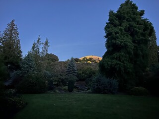 afternoon in the park