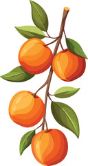 peach on branch with leaves - peach vector art, vector illustration of peach isolated on white