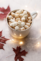Cup of hot chocolate on white background