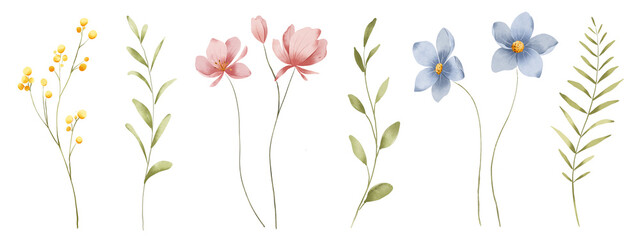 Floral set with flowers, watercolor digital illustration for greeting card, poster, invitation and other printing design. Isolated on white. Hand drawn.