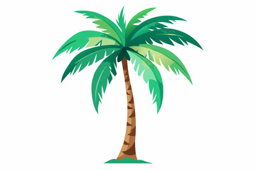 Obraz premium Palm tree isolated on white background